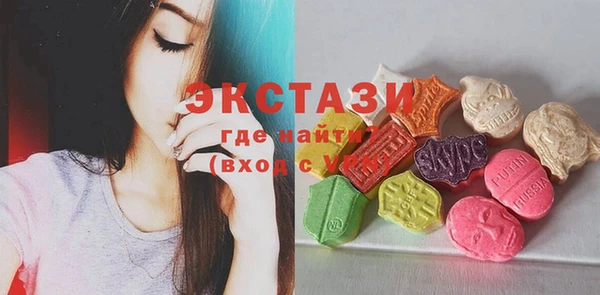 гашик Ельня