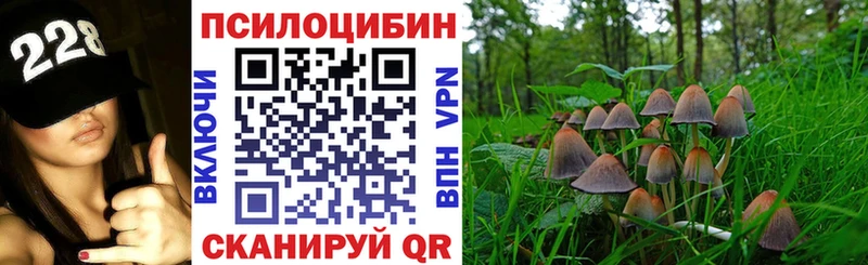 гидра рабочий сайт  купить наркотики сайты  Находка  Псилоцибиновые грибы ЛСД 